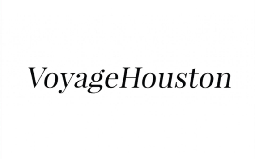 voyage logo copy